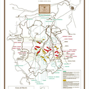 A Evolução do Barolo e do Barbaresco desde a DOCG