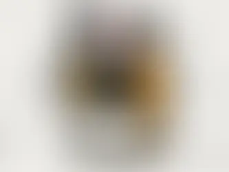 Os melhores vinhos para cada signo do zodíaco