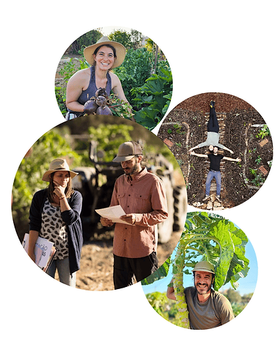 Collage of four workshop moments: smiling participants harvesting, planning, and relaxing amid thriving Mini Food Forest plot
