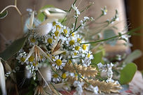 Nassima BAILEY - Photographe Draguignan Var Côte d'Azur - Photobooth Draguignan VAR 