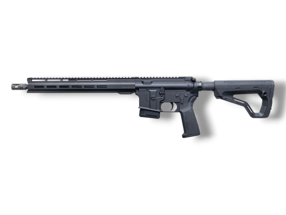 HERA Arms AR15 HDR