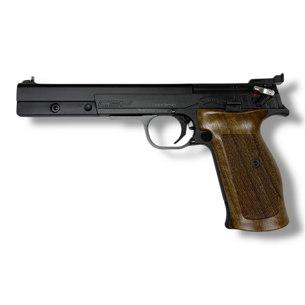 Miniaturbild: Walther CSP Dynamic