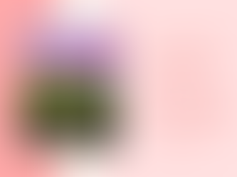 Avoid Drifting… Get Anchored to HOPE