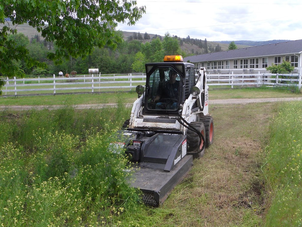 Brush-Mower1