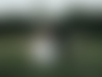 Real Mia Grace Bride: Wedding of Shannon and Kyle