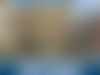 🔹 JUST CLOSED – Smooth Ravenswood Transaction: 7-Unit Center-Entrance Building Sold