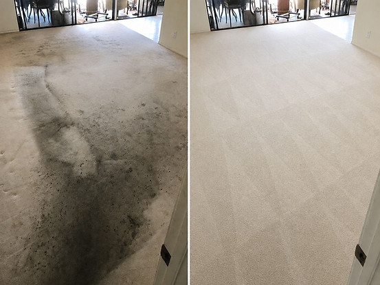 Carpet Cleaning before and after.jpg