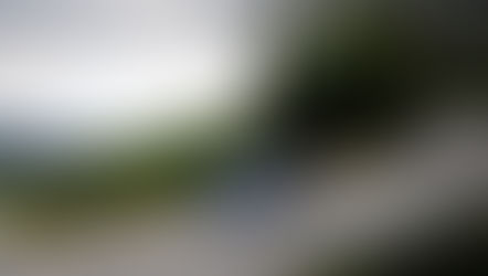 Ευχαριστήρια Επιστολή