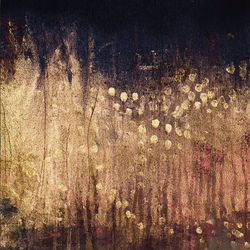2015_MonreposDetail1