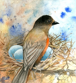 robin nest.jpeg