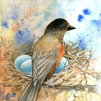 robin nest.jpeg