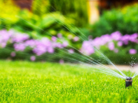 Your Lawn Is Dying From Common Sprinkler Problems, Not Drought
