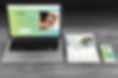 Website.jpg