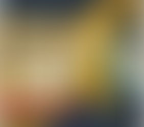 What does a Project Manager DO?