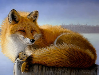 Relaxation in the winter sun 2.jpg