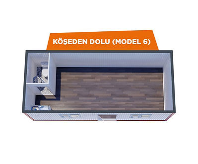 MODEL6.jpg