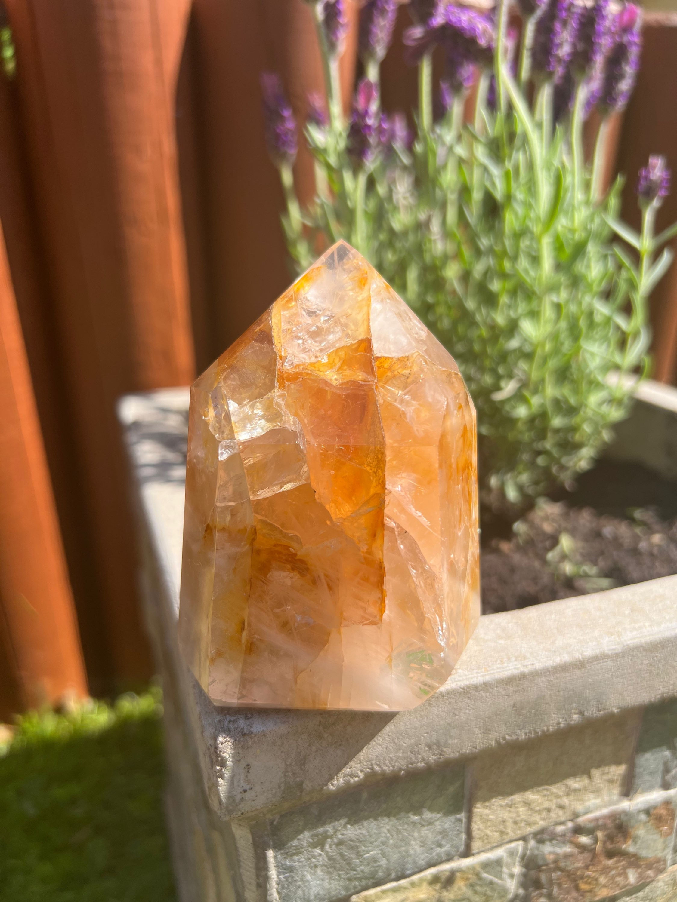 Rose Quartz x Golden Healer Tower J