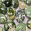 Thumbnail: Green Opal Palm