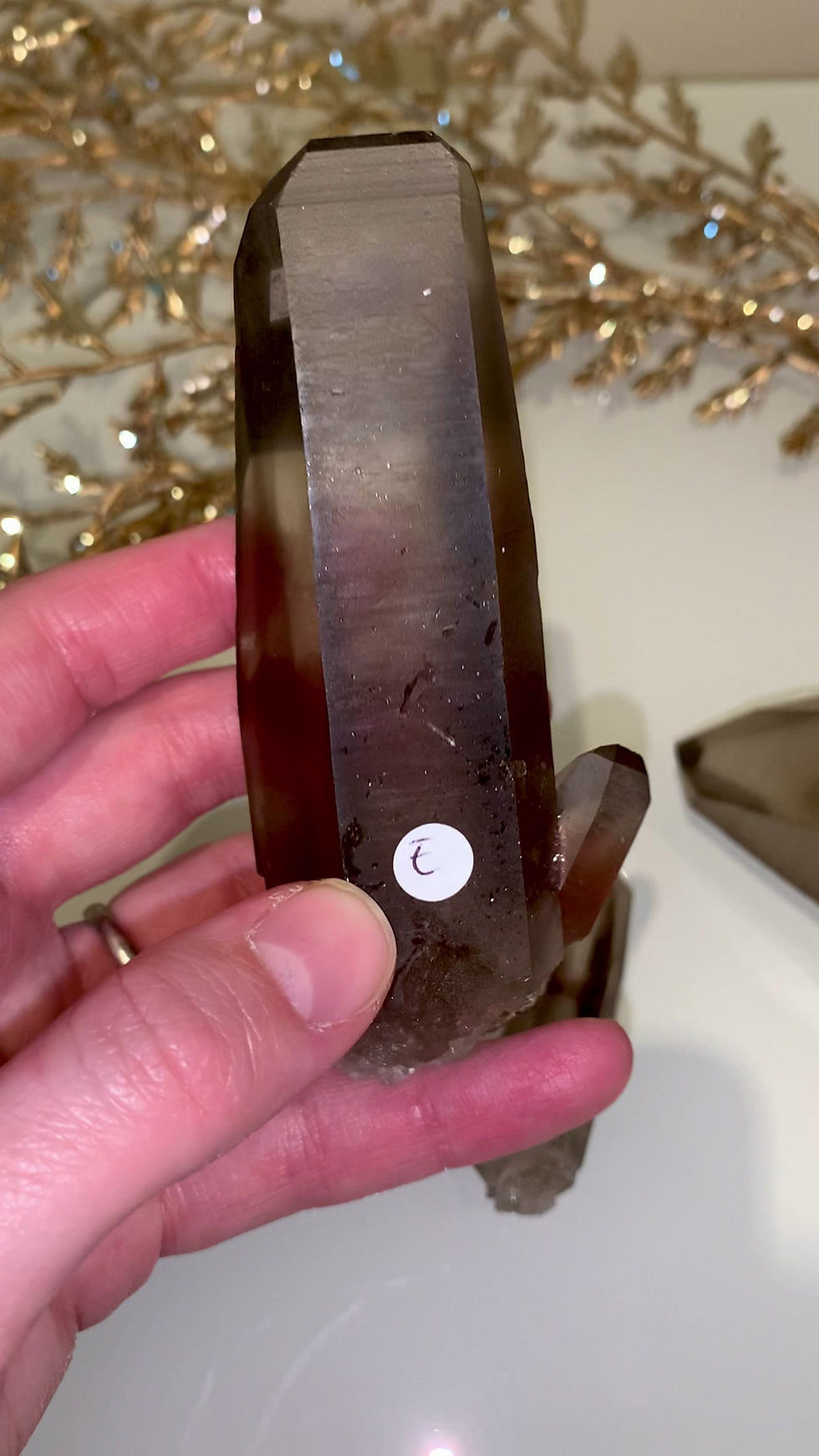 Thumbnail: Smoky Lemurian unpolished Quartz