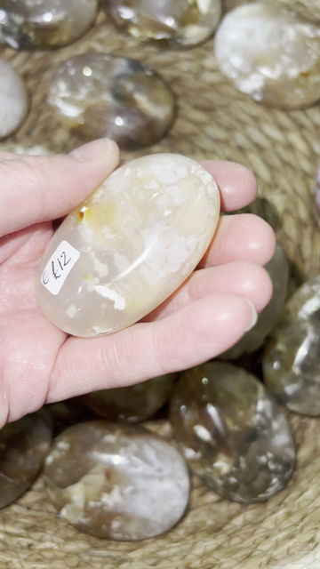 Thumbnail: Pink Plume Agate Palm