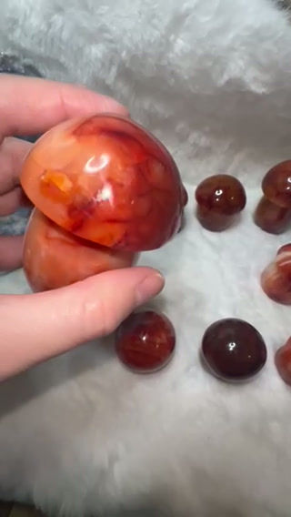 Thumbnail: Carnelian Mushroom