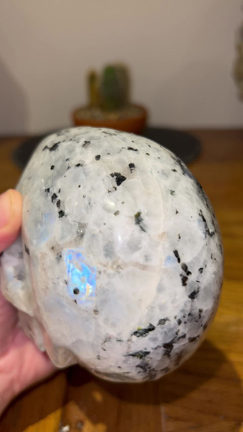 Thumbnail: Large Rainbow Moonstone Skull