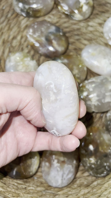 Thumbnail: Pink Plume Agate Palm