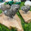 Thumbnail: Atlasaurus Fossil Hearts