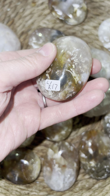 Thumbnail: Pink Plume Agate Palm