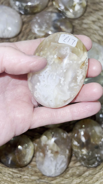 Thumbnail: Pink Plume Agate Palm