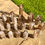 Thumbnail: Smoky Quartz Garden (Lodolite) Points