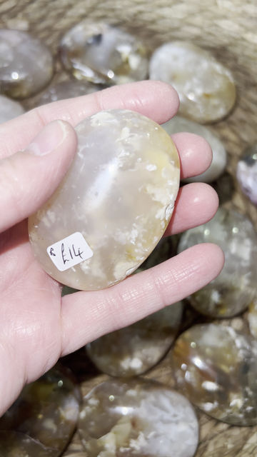 Thumbnail: Pink Plume Agate Palm