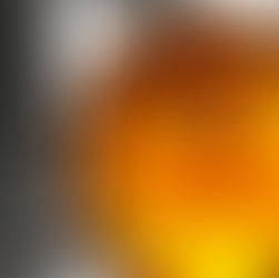 Legends Fest Part 1 Review