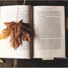 We Need To Talk About Film Adaptations...