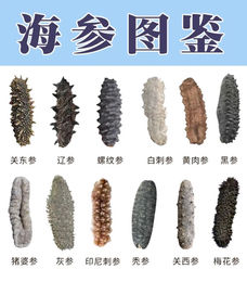 WhatsApp Image 2022-08-14 at 6.44.39 PM.jpeg