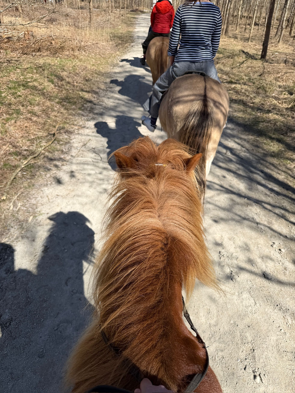 Maya riding Gletta