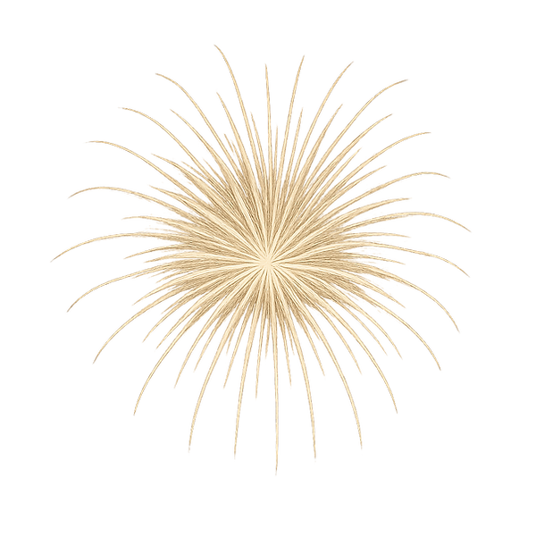 ChatGPT Image Jul 3, 2025, 12_33_45 AM.png