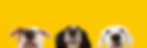 AdobeStock_525153494.jpeg