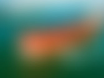 Vale (VALE3) avança na adoção de combustíveis de baixo carbono para navios mineraleiros