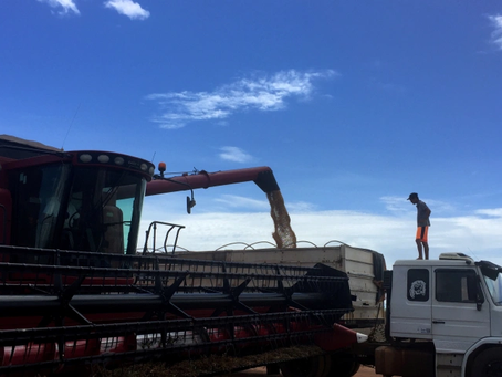 Piso do frete rodoviário tem reajuste e vai a 8,99%, mostra ANTT