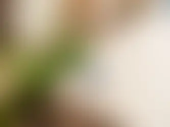 A RETOMADA DO REGIME LEGAL PARA A DESOCUPAÇÃO DE IMÓVEIS