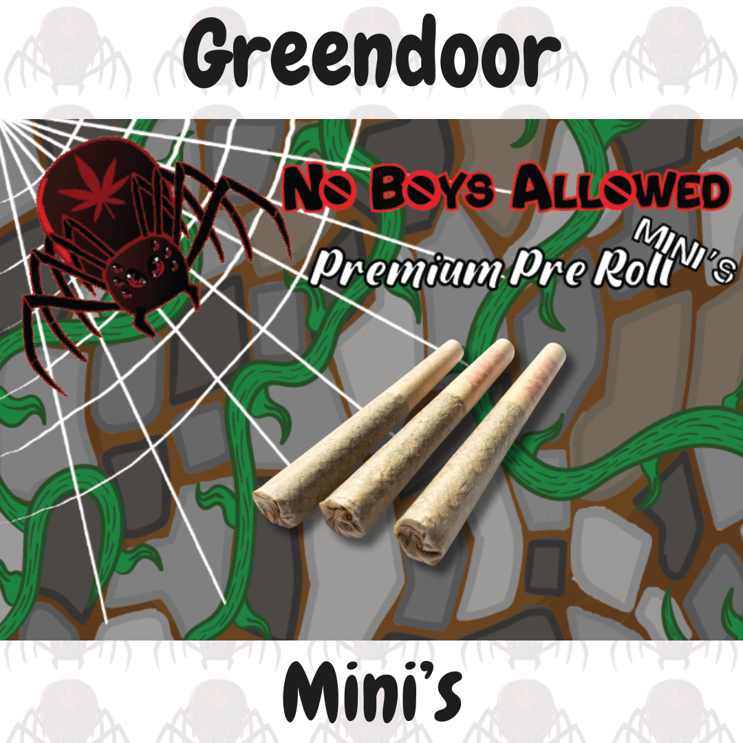 JGT | No Boys Allowed | Mini Pre-Rolls | Greendoor | 3 per tube