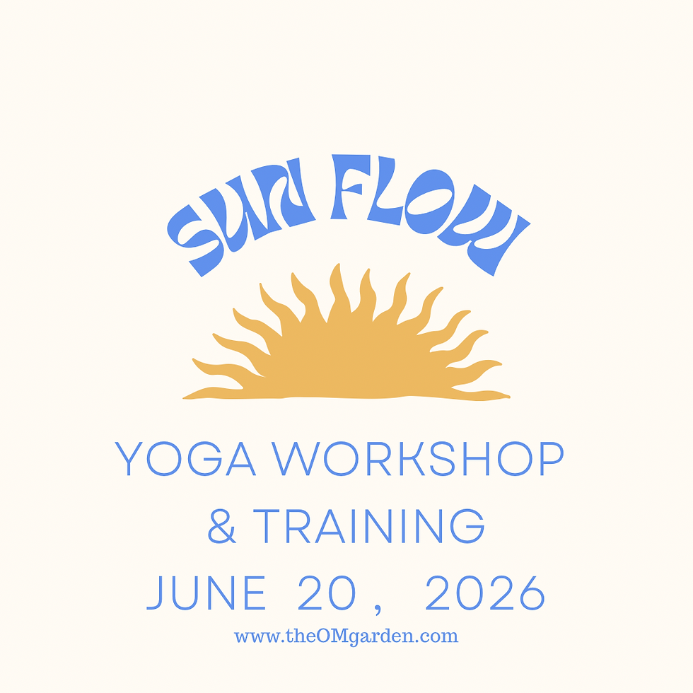 Sun Flow Workshop & Training