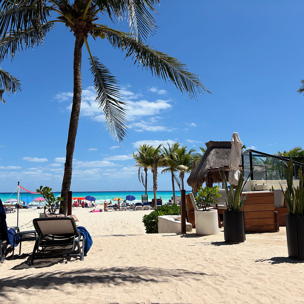 Playa Paradise Yoga Retreat