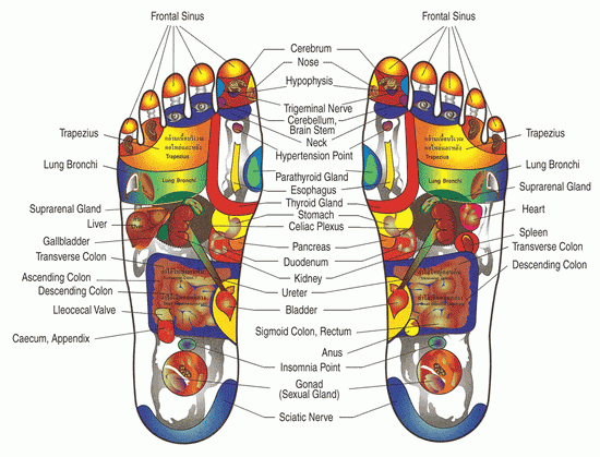 reflexology