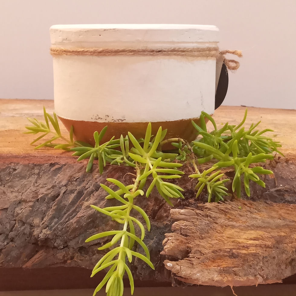 Shishu's clay pot candle