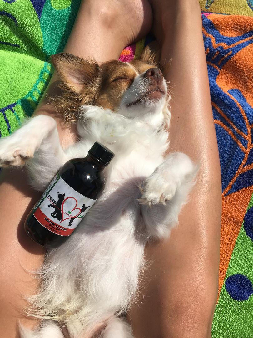 Thumbnail: (4 fl. oz) Pet Hemp Extract