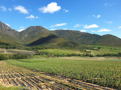 WhatsApp Image 2020-12-03 at 9.45.27 AM.