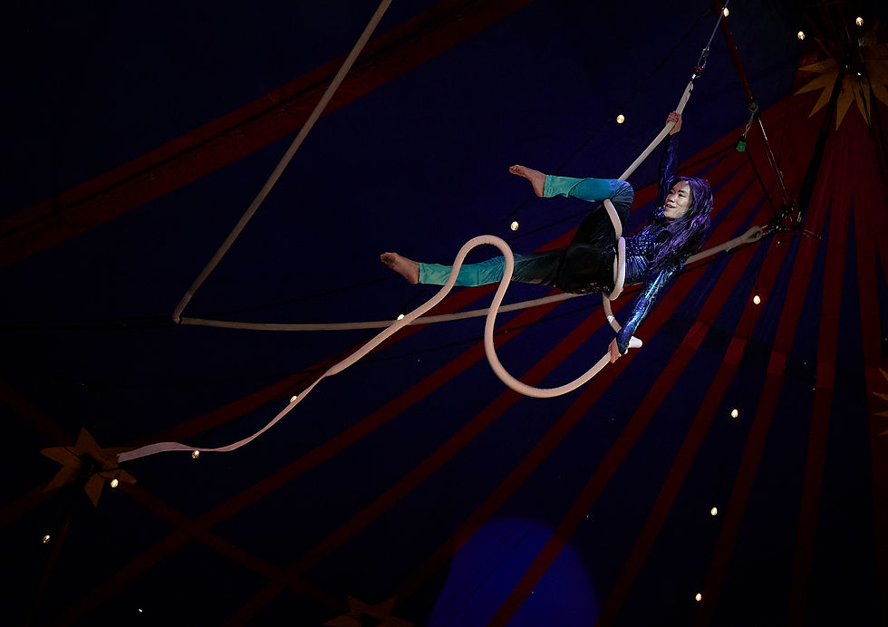 ShoestringCircus372432026-05-27 13.16.37Philip Pavliger.jpg