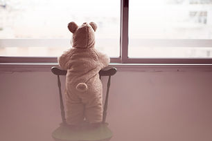 Erwägen Teddybär